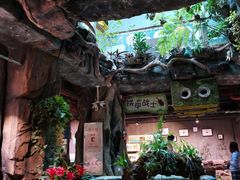 -正佳雨林生态植物园