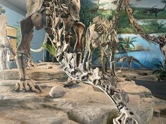 -自贡恐龙博物馆