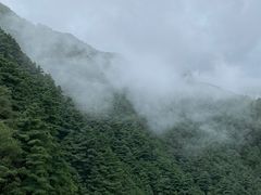 -苍山感通索道