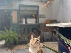 -大水的店(昙华林店)