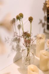 -琥珀婚礼策划AMBER WEDDING