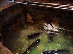 -井水小厨·湘菜(活力广场店)