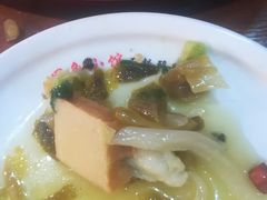 -周鱼小馆石锅酸菜鱼(活力汇店)