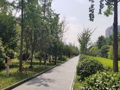 -唐城墙遗址公园