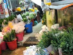 -循礼门鲜花花市(武汉循礼门店)