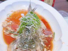 -新乾隆酒楼(帝景园店)