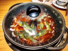 黄辣丁鲜鱼锅-小小河边鱼(天润城店)