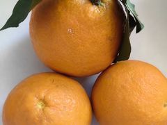 -金宝生活市场(东五环店)