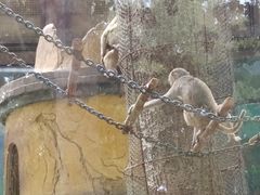 -石家庄市动物园