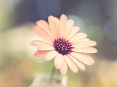 -嘚味徐州烧烤特色菜