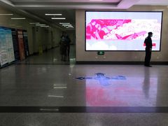 -北京中西医结合医院