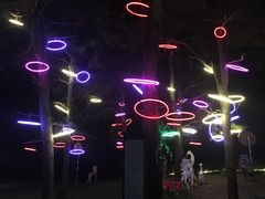 -大塘金香草谷