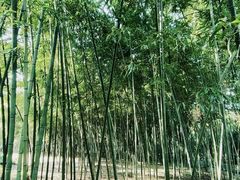 -兰亭风景区