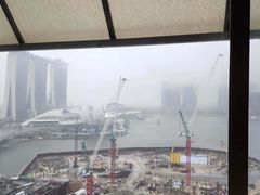 -新加坡丽思卡尔顿美年酒店