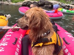 -安吉龙王山峡谷漂流