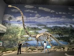 -自贡恐龙博物馆