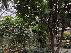 -南宫五洲植物乐园