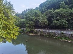 -潜山国家森林公园
