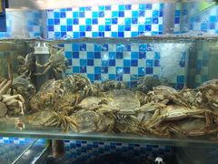 -蔚海之都·象山蒸汽海鲜(仙霞路店)
