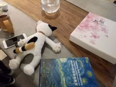 -Tian品