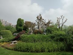 -堤角公园