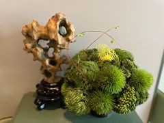 -潮上潮(南中环店)