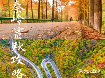 国庆假期旅游攻略 | 去秦岭，赏zui美的秋