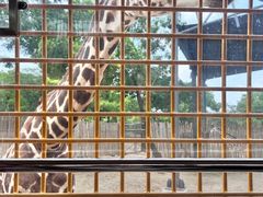 -上海野生动物园