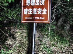 -紫金山山顶公园