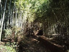 -开小灶(公望街店)