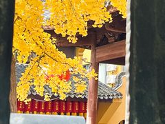 -龙华素斋(龙华路店)