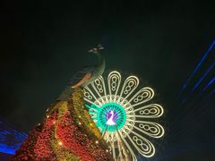 -七彩云南欢乐世界