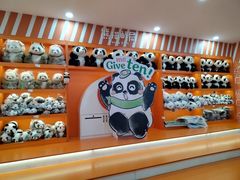 -熊猫邮局(少城店)