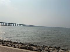 -宝安西湾红树林湿地公园