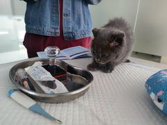 -宠颐生·恒爱宠物医院(静海店)