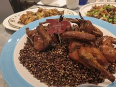 -朱记乳鸽王·非遗石岐乳鸽·全鸽宴(大兴旗舰店)