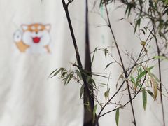 -柴务处·柴犬主题狗咖