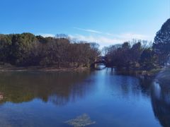 -贡湖湾湿地公园