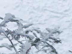 -雪谷