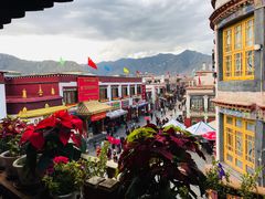 藏式烤天然蘑菇-玛吉阿米·餐吧