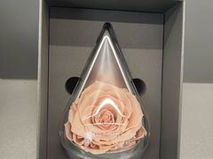 -ROSEONLY诺誓(广州K11店)