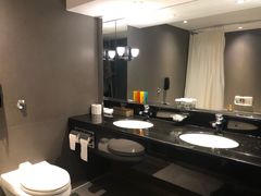 -新加坡乌节希尔顿酒店 (SG Clean)