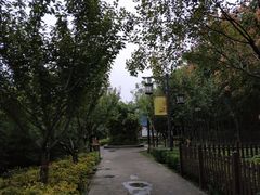 -汉长安城未央宫国家考古遗址公园