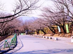 -水前寺成趣园