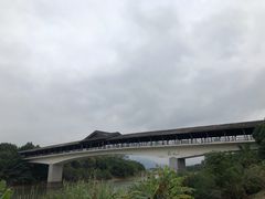 -福建鲤鱼洲酒店