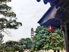 -江心屿景区