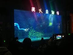 -邯郸海洋世界