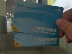 -龙阳路磁悬浮列车总站-停车场