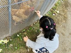 -前小桔亲子创意农场·草莓采摘·露营烧烤