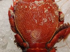 -嘉定凯悦·咖啡厅